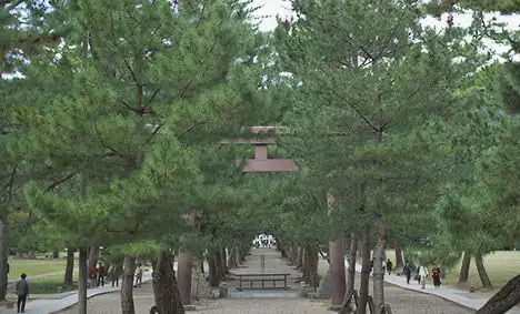 Izumo Taisha Grand Shrine